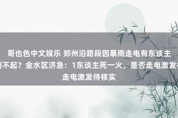 哥也色中文娱乐 郑州沿路段因暴雨走电有东谈主被电倒不起？金水区济急：1东谈主死一火，是否走电激发待核实