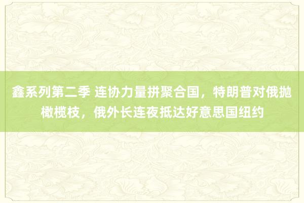 鑫系列第二季 连协力量拼聚合国，特朗普对俄抛橄榄枝，俄外长连夜抵达好意思国纽约