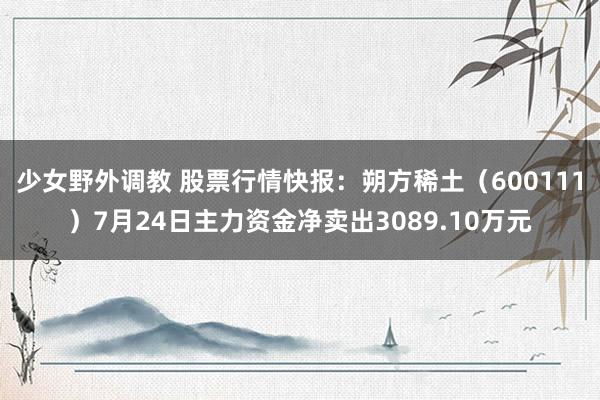 少女野外调教 股票行情快报：朔方稀土（600111）7月24日主力资金净卖出3089.10万元