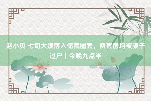 赵小贝 七旬大姨落入储藏圈套，两套房均被骗子过户｜今晚九点半