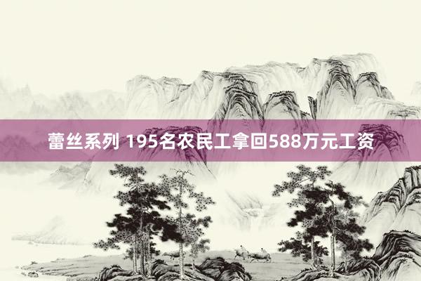 蕾丝系列 195名农民工拿回588万元工资