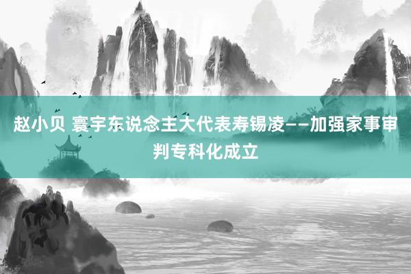 赵小贝 寰宇东说念主大代表寿锡凌——加强家事审判专科化成立