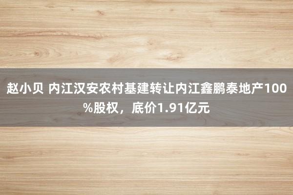 赵小贝 内江汉安农村基建转让内江鑫鹏泰地产100%股权，底价1.91亿元