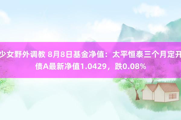 少女野外调教 8月8日基金净值：太平恒泰三个月定开债A最新净值1.0429，跌0.08%