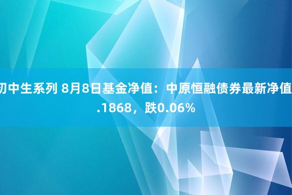 初中生系列 8月8日基金净值：中原恒融债券最新净值1.1868，跌0.06%