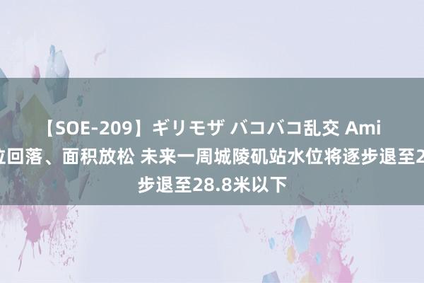 【SOE-209】ギリモザ バコバコ乱交 Ami 洞庭湖水位回落、面积放松 未来一周城陵矶站水位将逐步退至28.8米以下