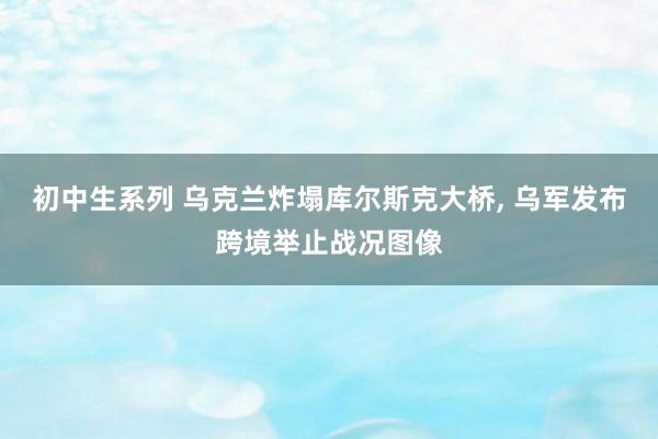 初中生系列 乌克兰炸塌库尔斯克大桥， 乌军发布跨境举止战况图像