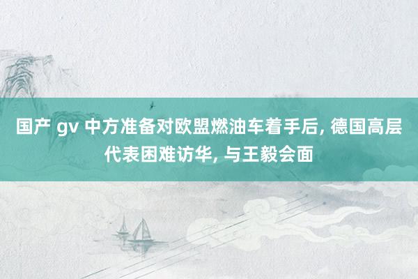 国产 gv 中方准备对欧盟燃油车着手后， 德国高层代表困难访华， 与王毅会面