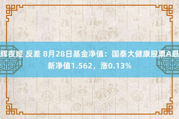 辉夜姬 反差 8月28日基金净值：国泰大健康股票A最新净值1.562，涨0.13%