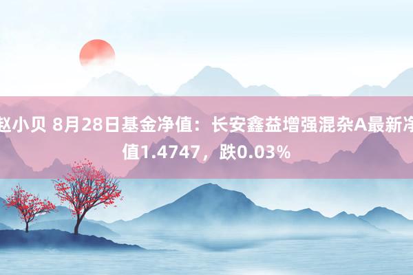 赵小贝 8月28日基金净值：长安鑫益增强混杂A最新净值1.4747，跌0.03%