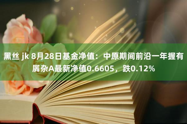 黑丝 jk 8月28日基金净值：中原期间前沿一年握有羼杂A最新净值0.6605，跌0.12%