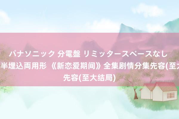 パナソニック 分電盤 リミッタースペースなし 露出・半埋込両用形 《新恋爱期间》全集剧情分集先容(至大结局)