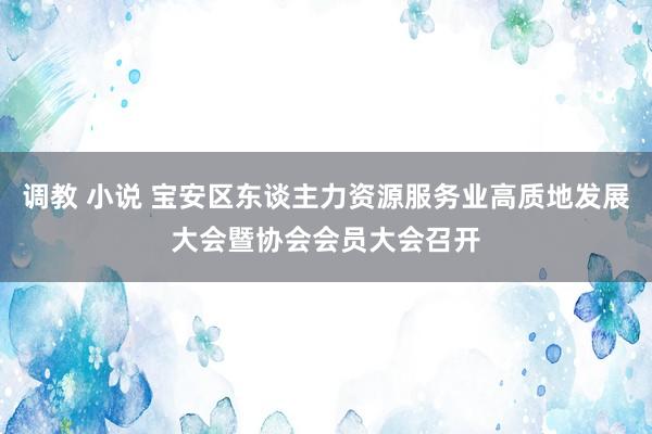 调教 小说 宝安区东谈主力资源服务业高质地发展大会暨协会会员大会召开